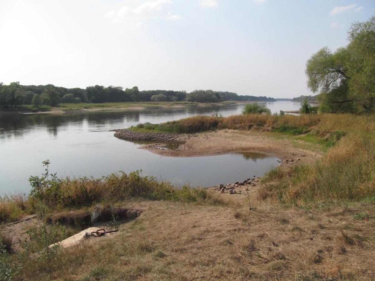 Gasthaus Und Pension Zum Biber Steckby Esterno foto